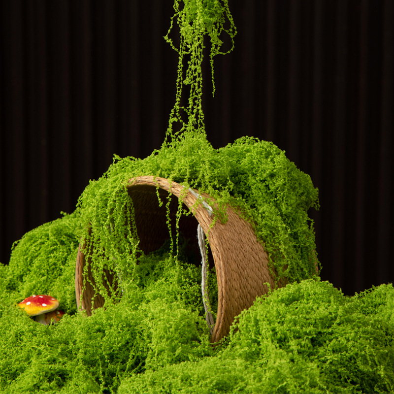 Bonsai Garden Ideas - 200g 영원한 생명 이끼 DIY 공예