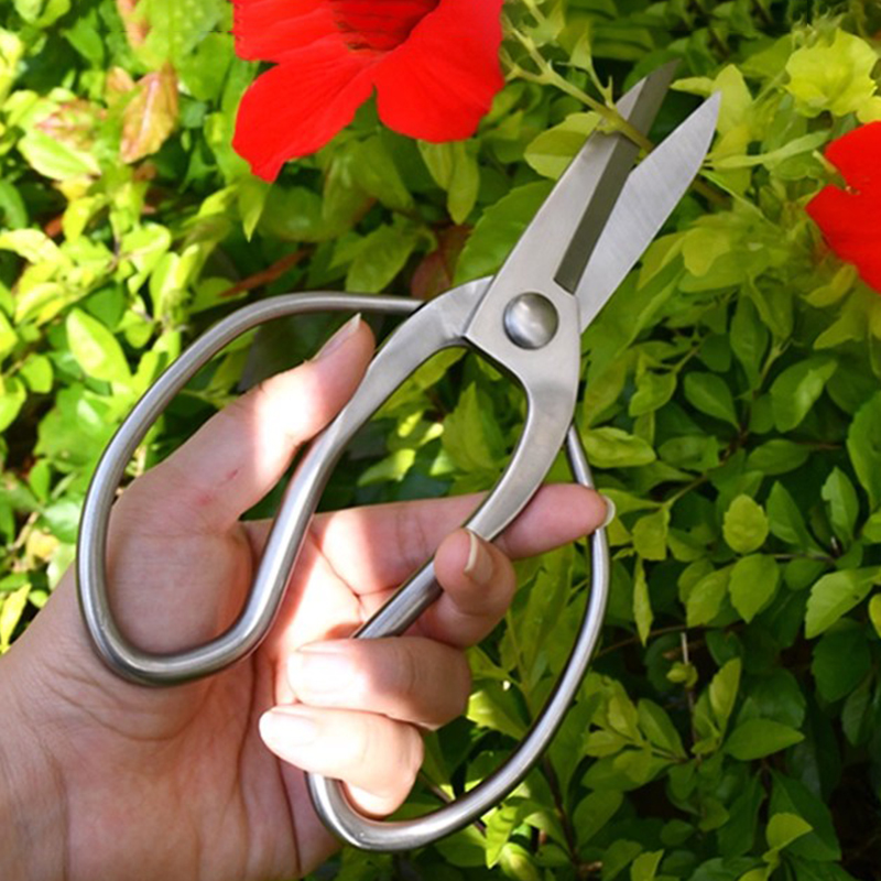 Bonsai Garden Knife - 스테인리스 스틸 가지치기 가위 휴대용 정원
