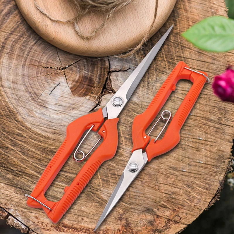다용도 가지치기 가위 – 포도, 분재 및 식물용 잠금장 - Bonsai Garden Knife 리뷰 및 가격