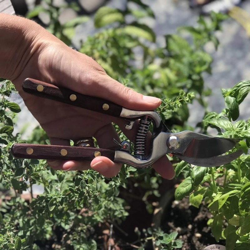 1Pc 나무 손잡이 가지치기 가위 스테인레스 스틸 정원 - Bonsai Garden Knife 리뷰 및 가격
