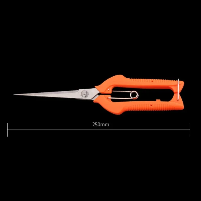 확장 프로 정원 가지 치기 가위 오렌지 분재 나무 꽃  - Bonsai Garden Knife 리뷰 및 가격