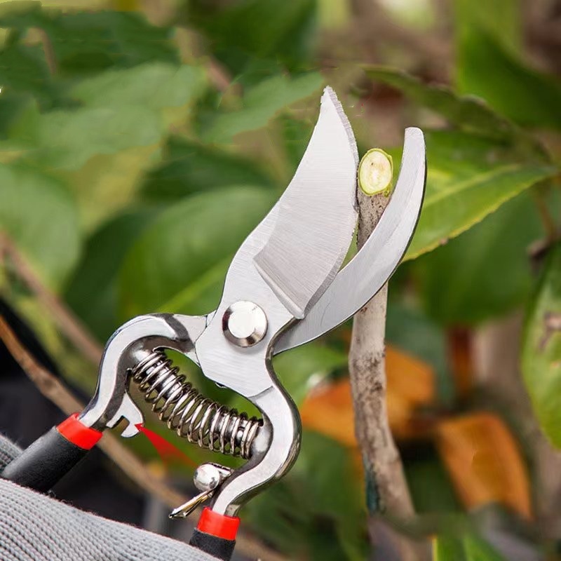 가지치기 가위 접목 도구 SK5 합금강 블레이드 1개  - Bonsai Garden Knife 리뷰 및 가격
