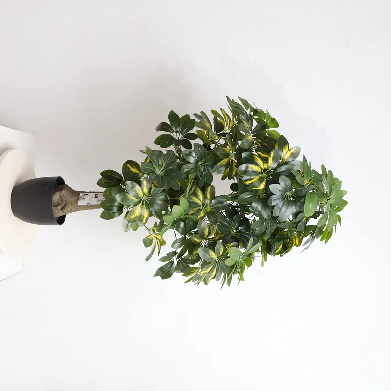 도매 공장 직판 가격 인조 분재 식물 쉐플라라, 가정  - Bonsai Garden Price 리뷰 및 가격