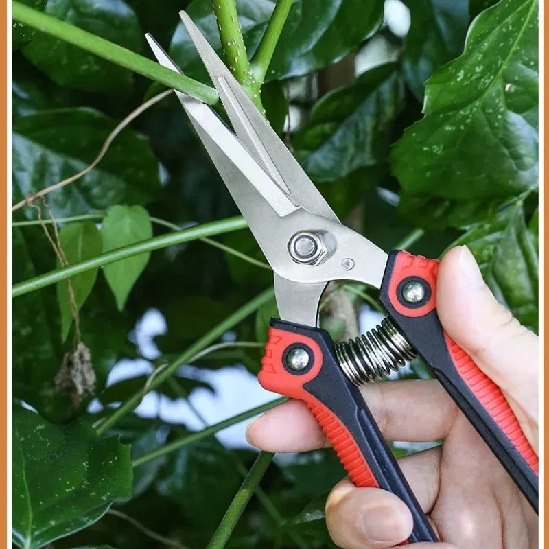뉴스샤크 스테인리스 스틸 전정가위 날카로운 가지치기 가 - Bonsai Garden Knife 리뷰 및 가격