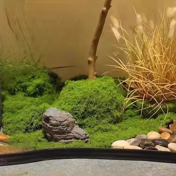 200g 영원한 생명 이끼 DIY 공예 잔디 인공 녹색 - Bonsai Garden Ideas 리뷰 및 가격