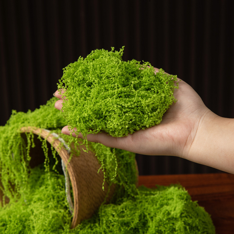 200g 영원한 생명 이끼 DIY 공예 잔디 인공 녹색 - Bonsai Garden Ideas 리뷰 및 가격