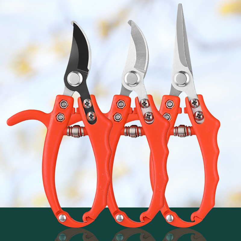 정원 가지치기 가위 과일나무 전지가위 접목 가지치기 분 - Bonsai Garden Knife 리뷰 및 가격