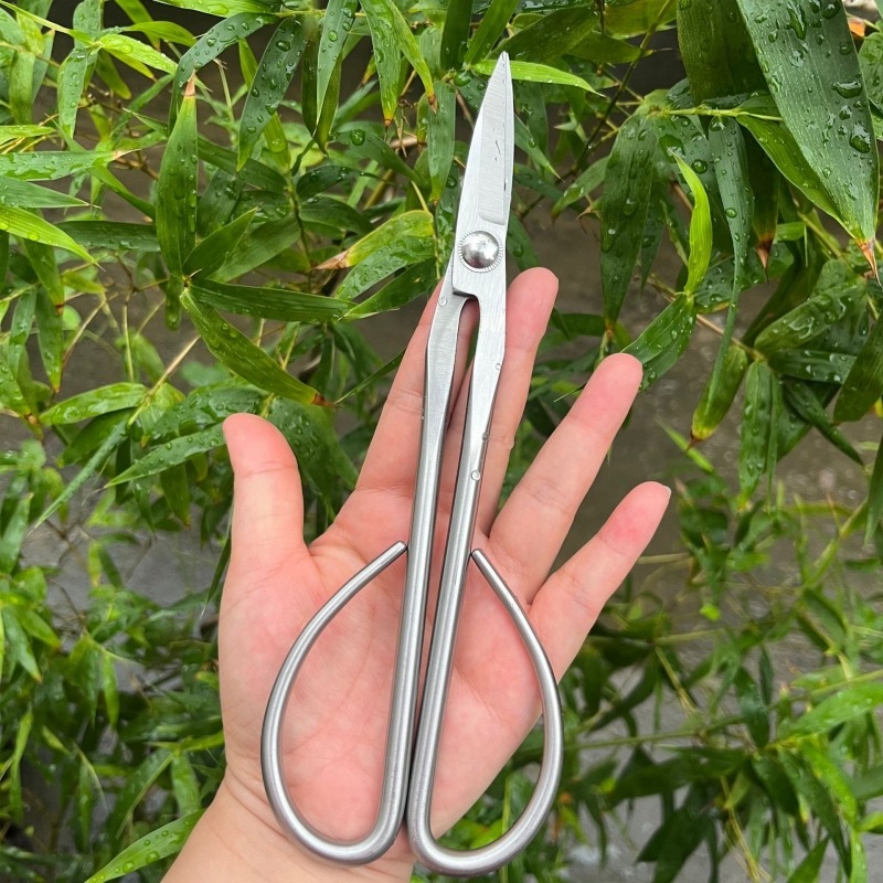 부드러운 잎 가위 분재 도구 가지 가위 연장형 스테인리 - Bonsai Garden Knife 리뷰 및 가격