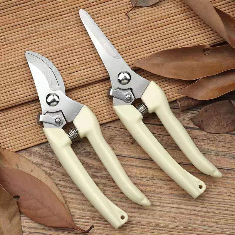스테인레스 스틸 정원용 가지치기 가위 스프링 장착 식물 - Bonsai Garden Knife 리뷰 및 가격