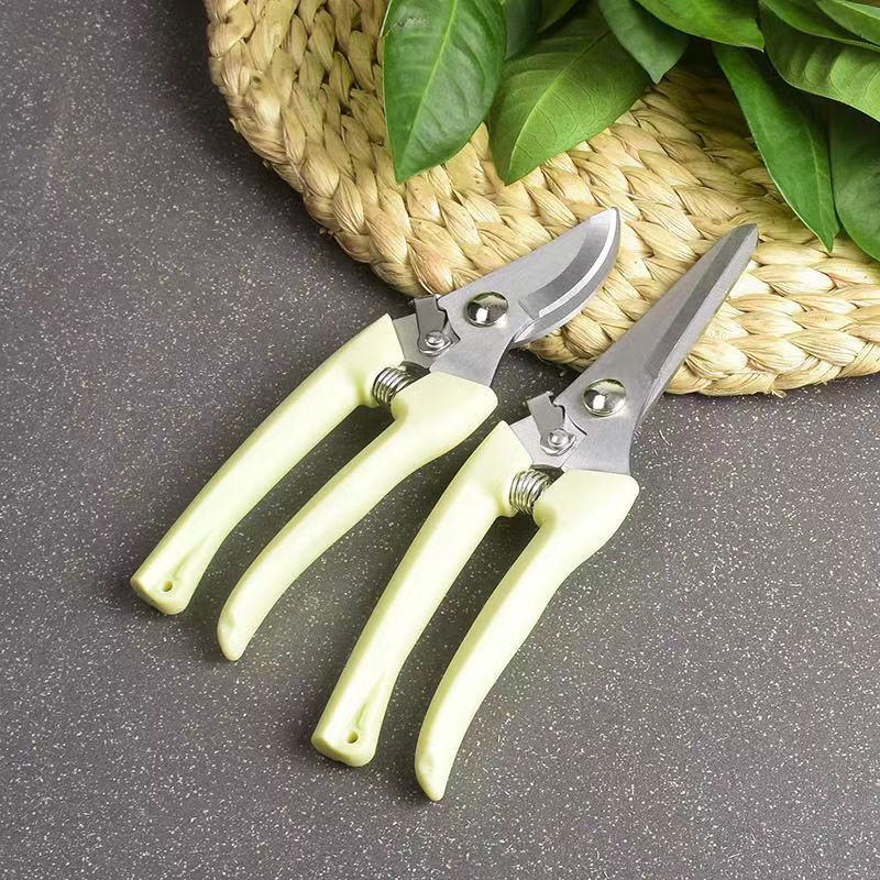 스테인레스 스틸 정원용 가지치기 가위 스프링 장착 식물 - Bonsai Garden Knife 리뷰 및 가격