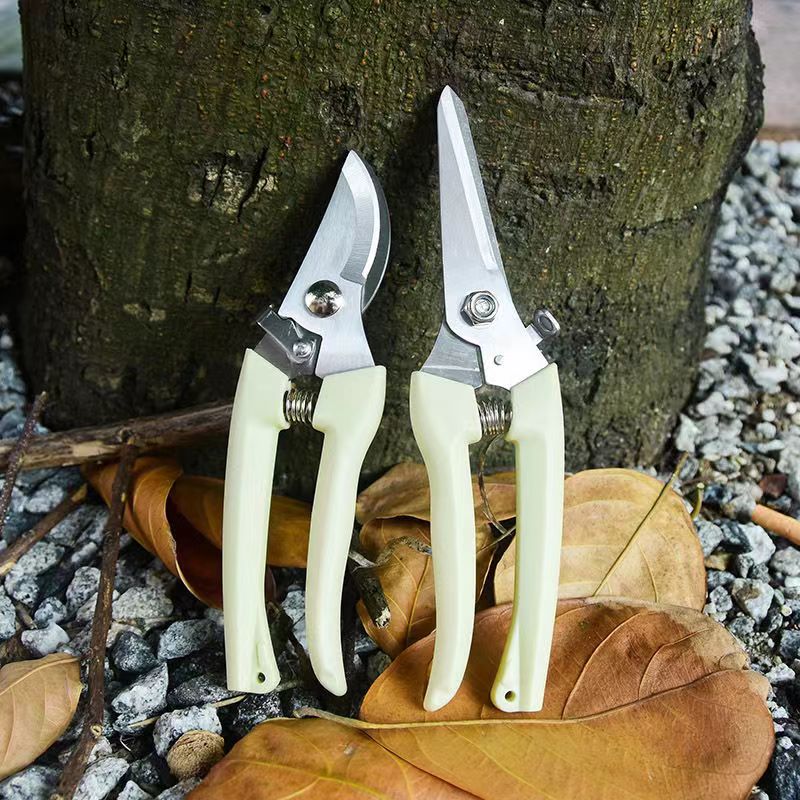 스테인레스 스틸 정원용 가지치기 가위 스프링 장착 식물 - Bonsai Garden Knife 리뷰 및 가격