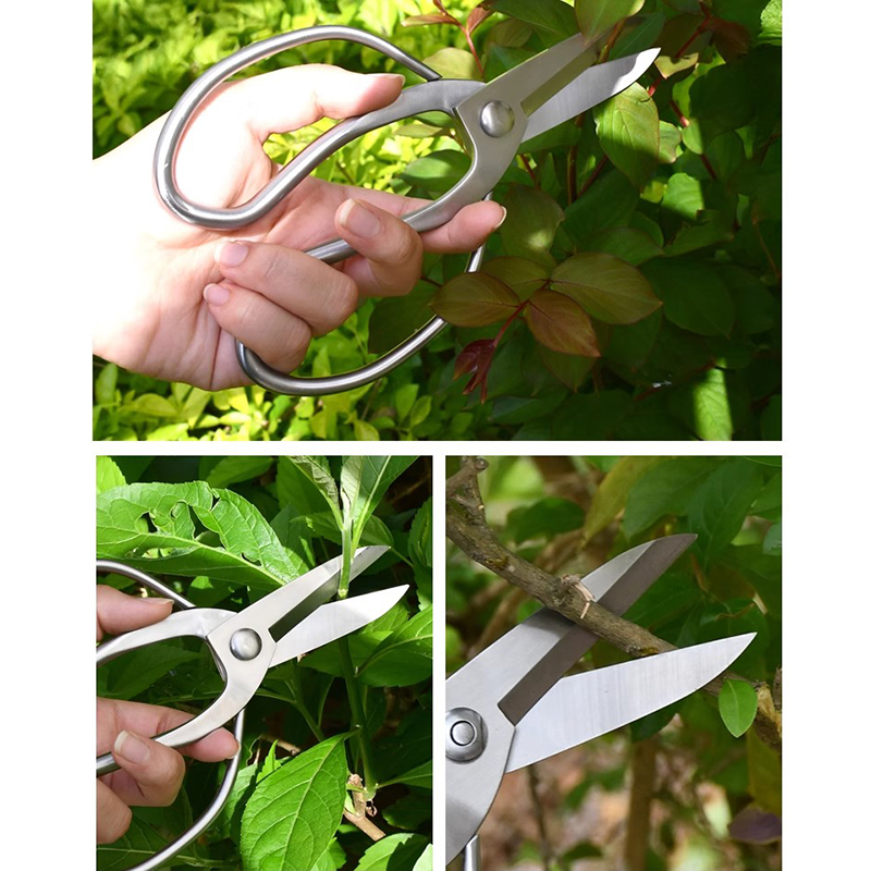 스테인리스 스틸 가지치기 가위 휴대용 정원 가위 분재  - Bonsai Garden Knife 리뷰 및 가격