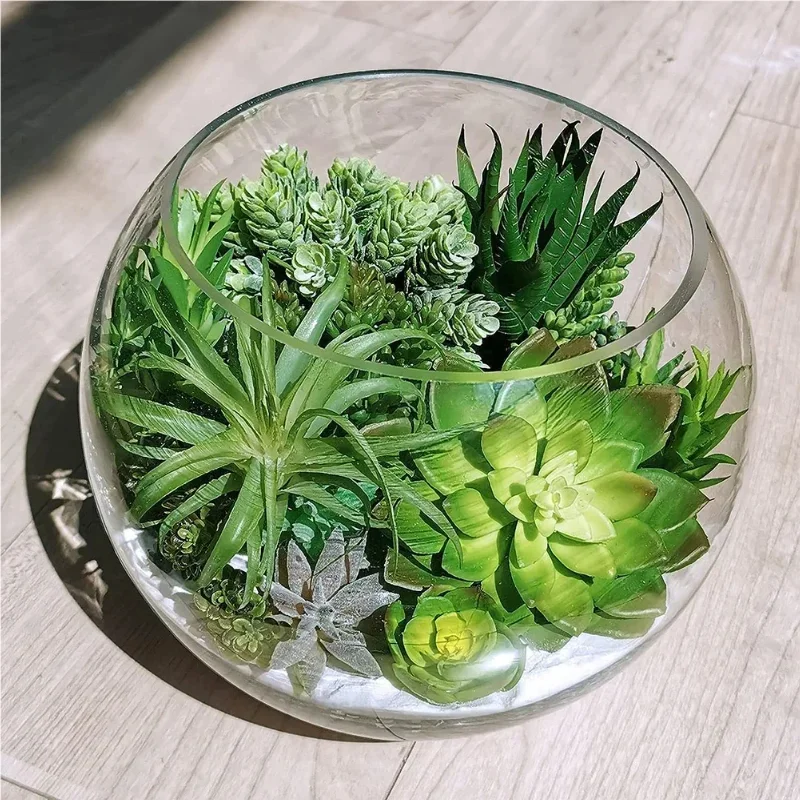10/20Pcs PVC 다육 식물 가정 정원을위한 녹색 - Bonsai Garden Ideas 리뷰 및 가격